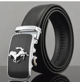Belts - Elevation Belt - Radiant - AEVEAx